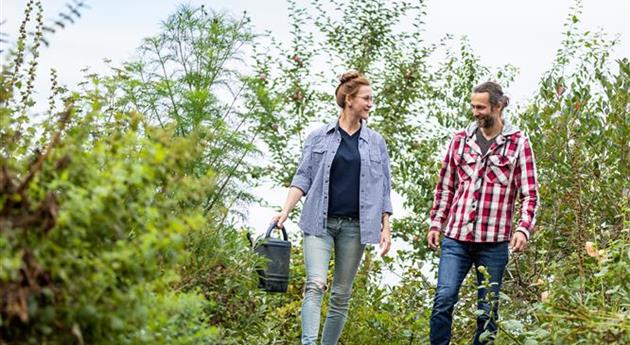 Gartenarbeit im Herbst