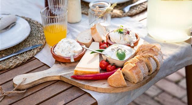 Grillen im Garten - Platte mit Dips