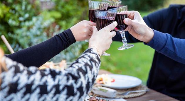 Grillen im Garten - anstoßen mit Wein