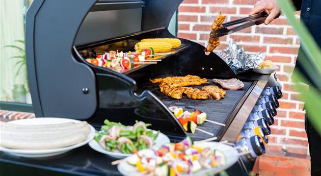 Grillen im Garten - Grillgut