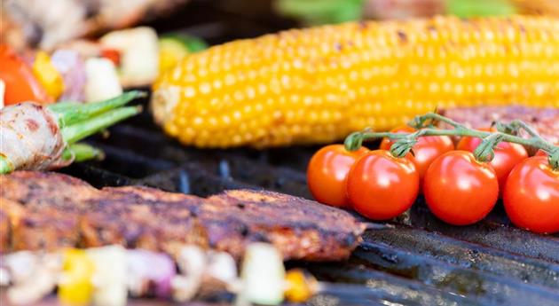 Grillen im Garten - Grillgut