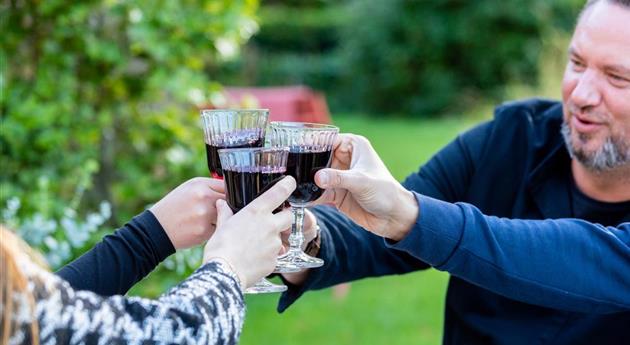 Grillen im Garten - Freunde stoßen an