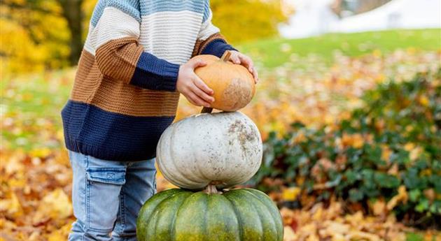 Herbstambiente- Kind mit Kürbissen