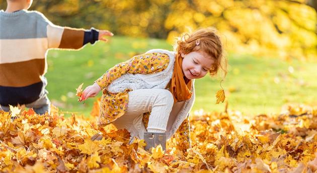 Herbstambiente- Kinder spielen mit Laub