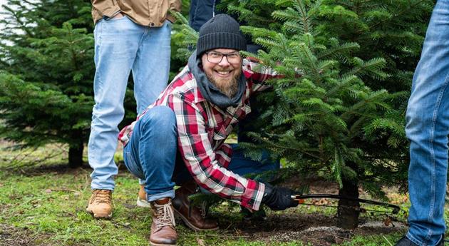 Tannenbaum schlagen - Mann sägt Baum ab