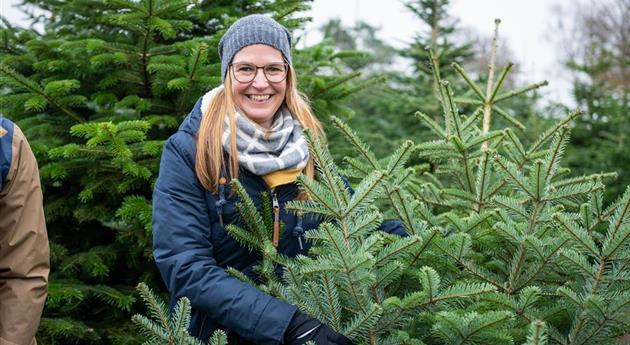 Tannenbaum schlagen - Frau hält Baum fest