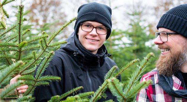 Tannenbaum schlagen - Junge lacht