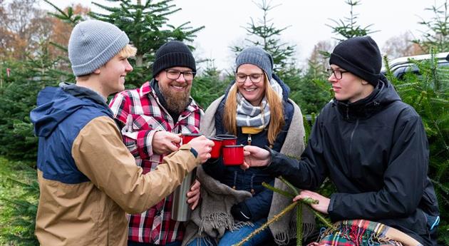 Tannenbaum schlagen - Teepause