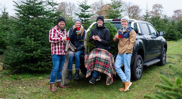 Tannenbaum schlagen - Teepause