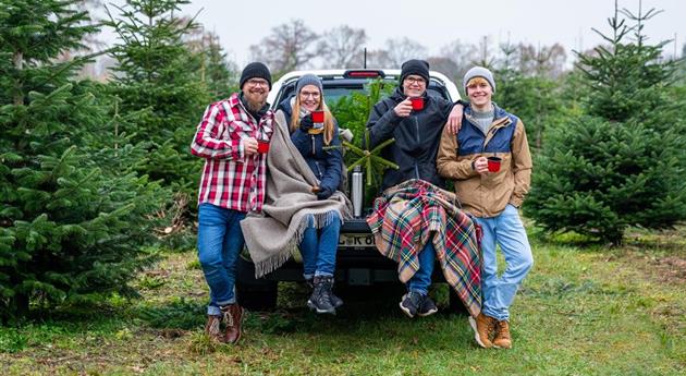 Tannenbaum schlagen - Teepause