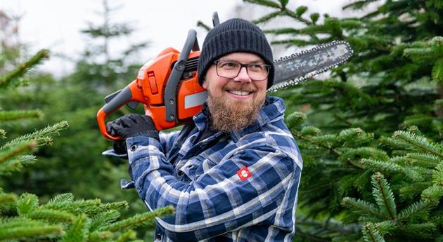 Tannenbaum schlagen - Mann mit Kettensäge