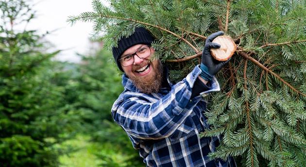 Tannenbaum schlagen - Mann mit Baum