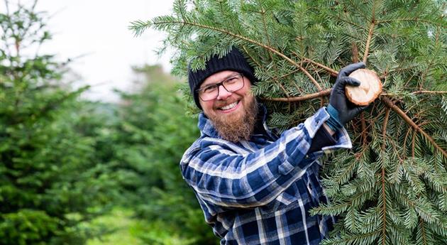 Tannenbaum schlagen - Mann mit Baum