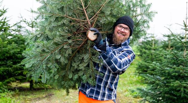 Tannenbaum schlagen - Mann mit Baum