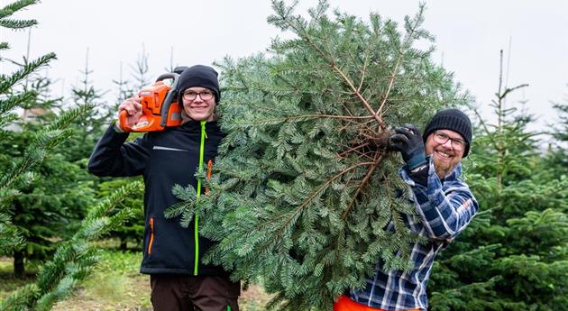 Tannenbaum schlagen - Vater und Sohn mit Baum