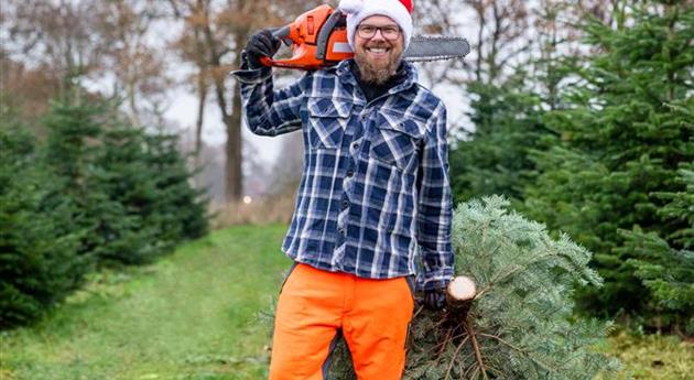 Tannenbaum schlagen - Mann mit Kettensäge und Baum