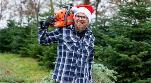 Tannenbaum schlagen - Mann mit Kettensäge und Baum