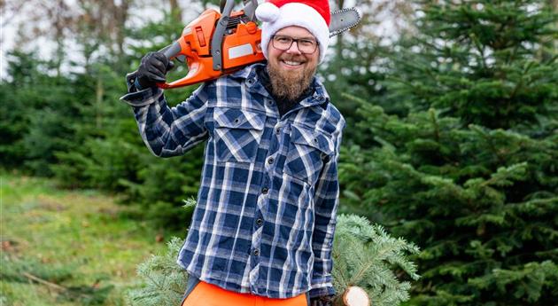 Tannenbaum schlagen - Mann mit Kettensäge und Baum