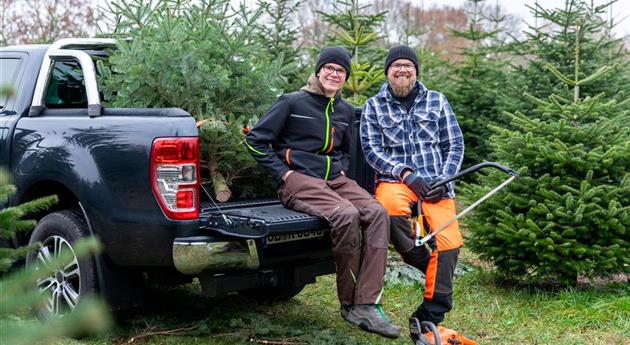 Tannenbaum schlagen - Vater und Sohn verladen Baum 