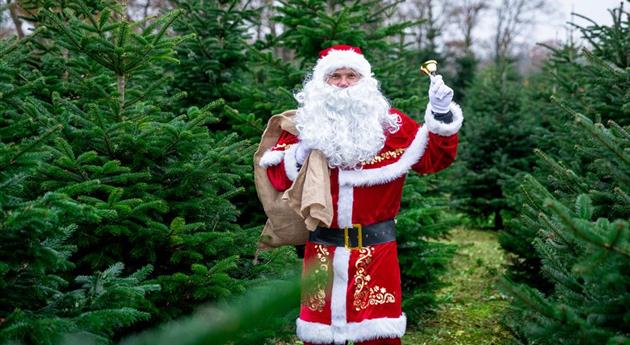 Tannenbaum schlagen - Weihnachtsmann mit Glocke