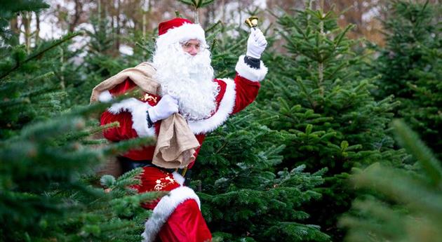 Tannenbaum schlagen - Weihnachtsmann mit Glocke