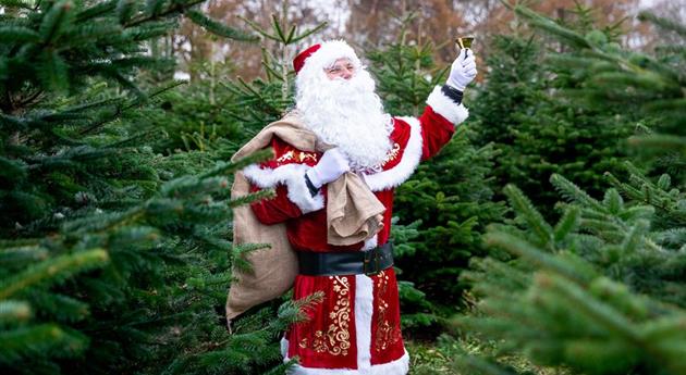 Tannenbaum schlagen - Weihnachtsmann mit Glocke