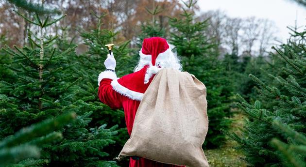 Tannenbaum schlagen - Weihnachtsmann mit Glocke