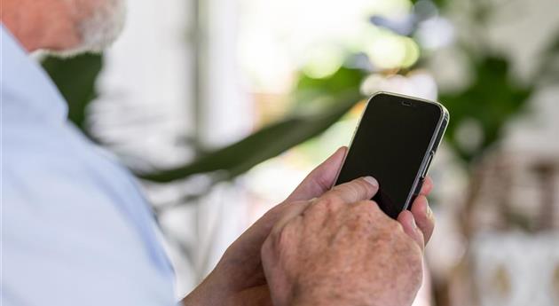 Homeoffice - Mann mit Handy