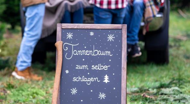 Tannenbaum schlagen - Aufsteller