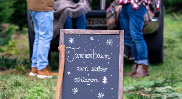 Tannenbaum schlagen - Aufsteller