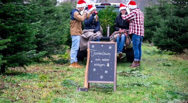 Tannenbaum schlagen - Aufsteller