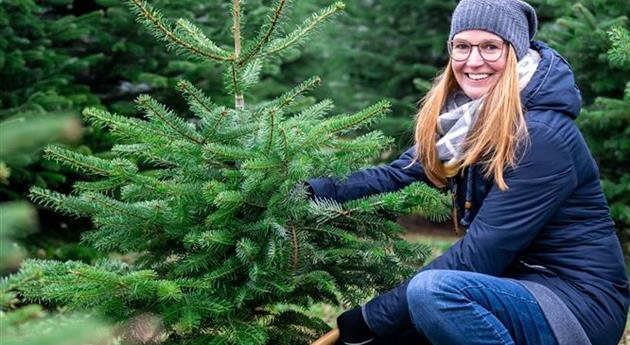 Tannenbaum schlagen - Frau mit Axt