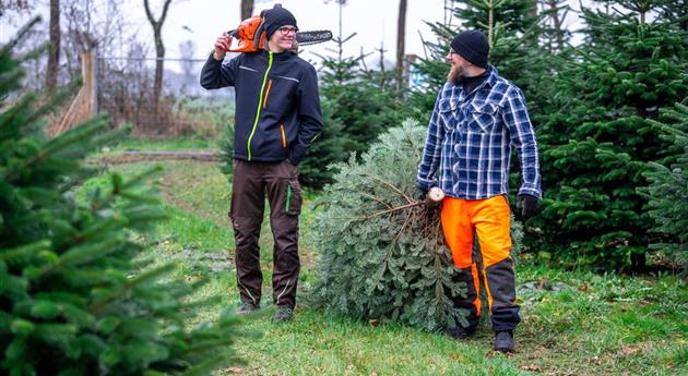 Tannenbaum schlagen - Vater und Sohn mit Baum