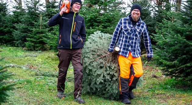 Tannenbaum schlagen - Vater und Sohn mit Baum