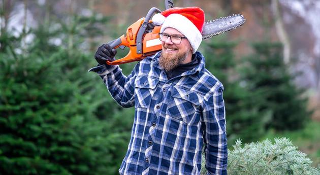 Tannenbaum schlagen - Mann mit Kettensäge und Baum