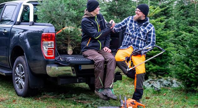 Tannenbaum schlagen - Vater und Sohn verladen Baum 