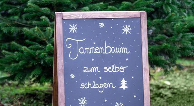 Tannenbaum schlagen - Aufsteller