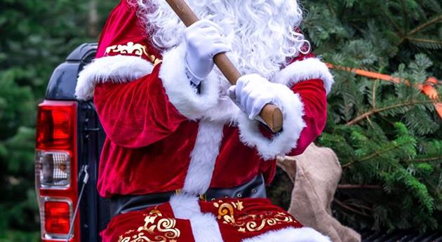 Tannenbaum schlagen - Weihnachtsmann