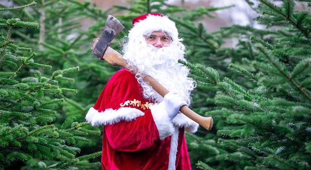 Tannenbaum schlagen - Weihnachtsmann