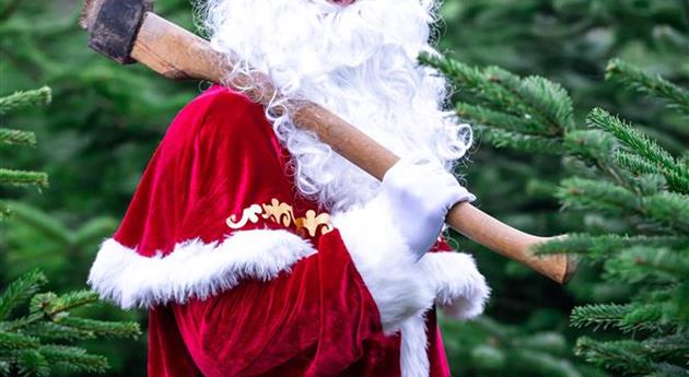 Tannenbaum schlagen - Weihnachtsmann